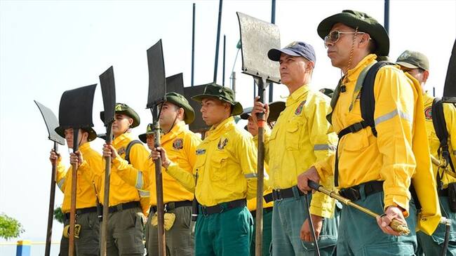 . para combatir incendios forestales en Cali