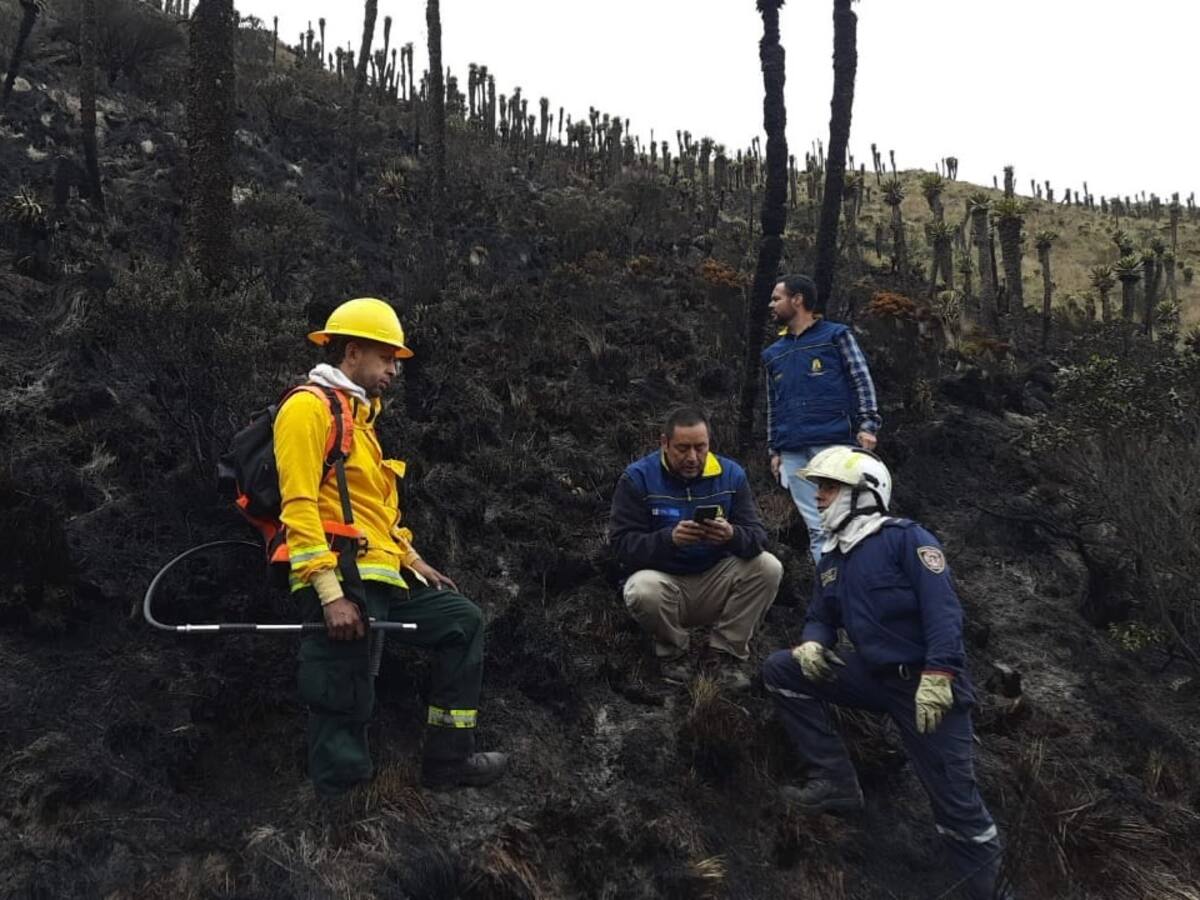 Se controló incendio que afectó 200 hectáreas del Parque Nacional Natural Los Nevados