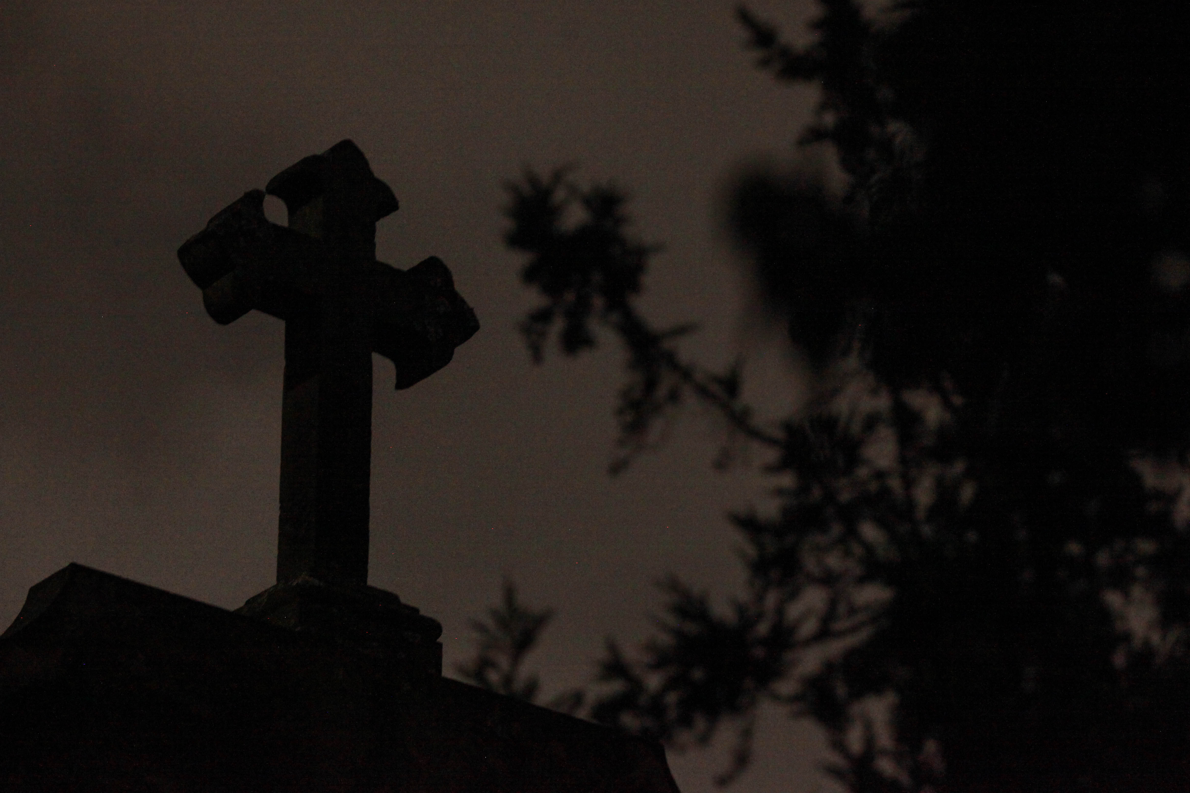 Cementerio (Colprensa - Camila Díaz)
