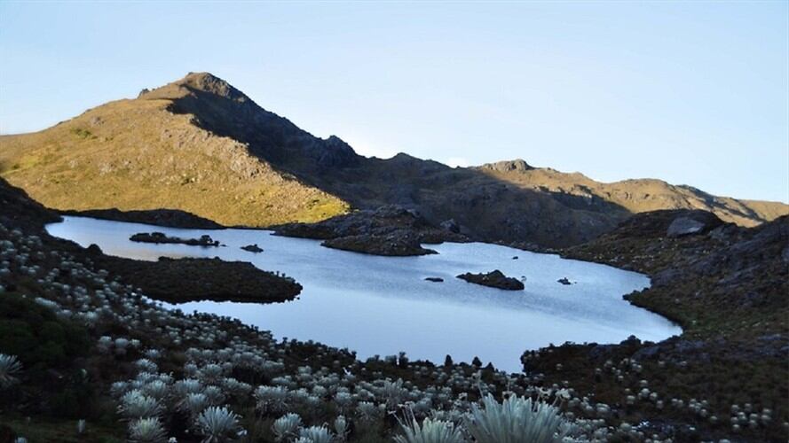 Imagen de referencia. Foto: Colprensa