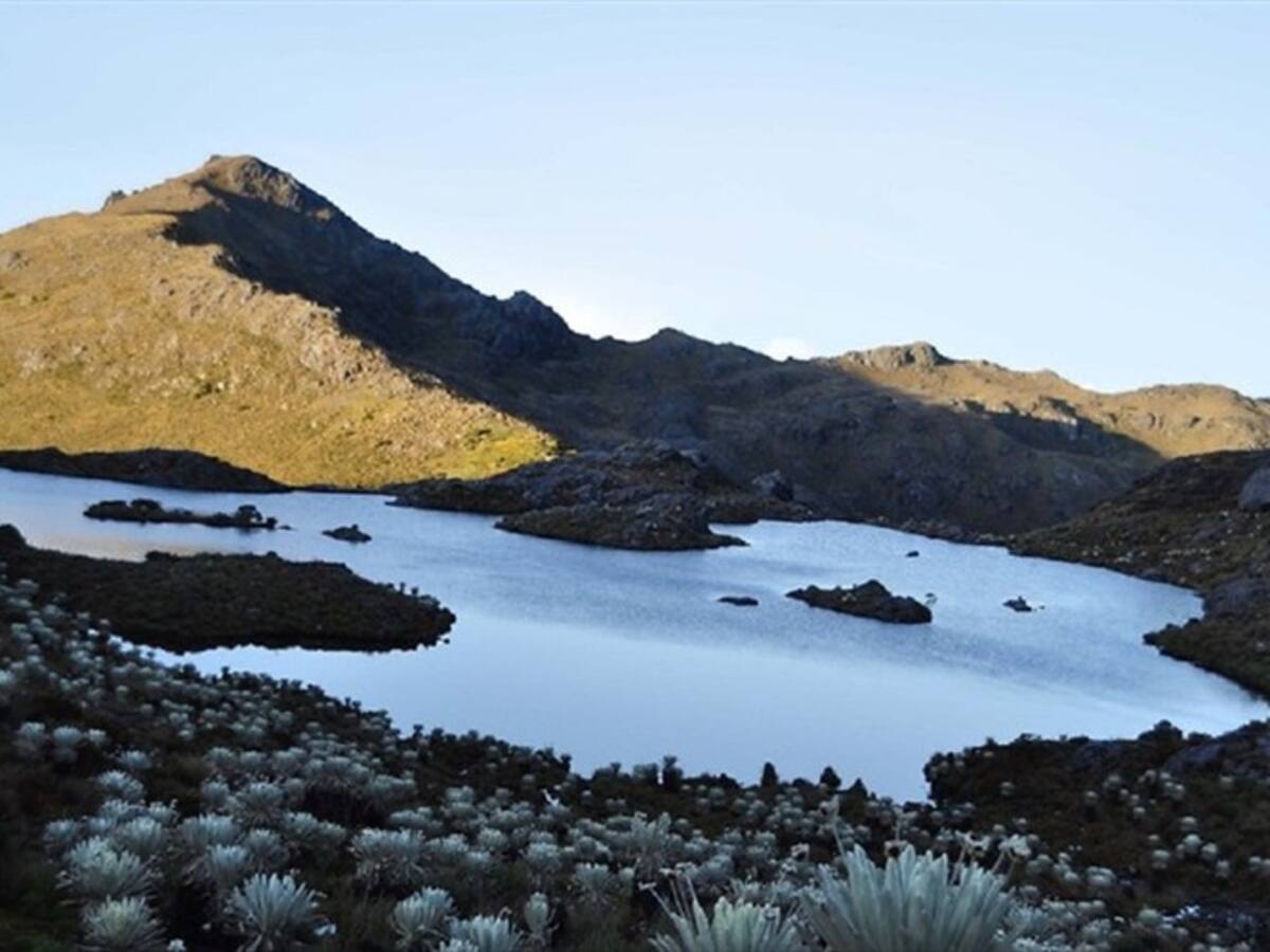 Anla ordenó archivar proyecto minero Soto Norte