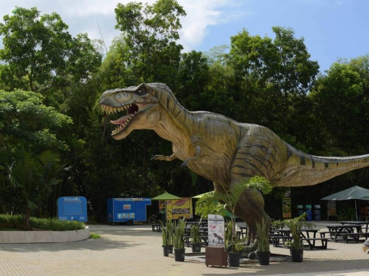 Bioparque Ukumarí anuncia su transición a una nueva fase sin incorporar nuevos animales