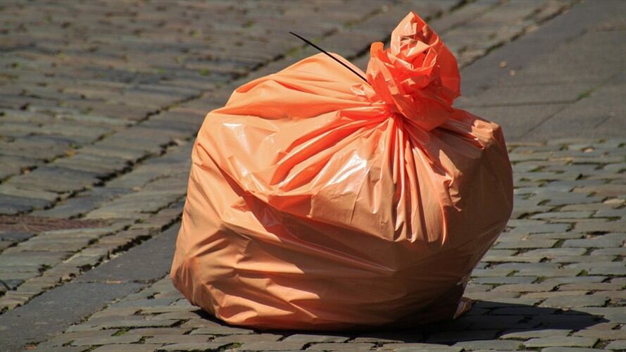 En la India crean bolsa que al contacto con el agua se convierte en comida para peces. Foto: Pixabay