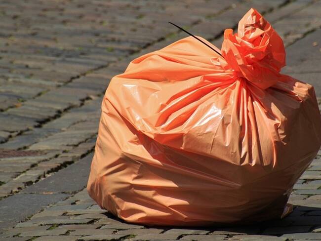 En la India crean bolsa que al contacto con el agua se convierte en comida para peces. Foto: Pixabay