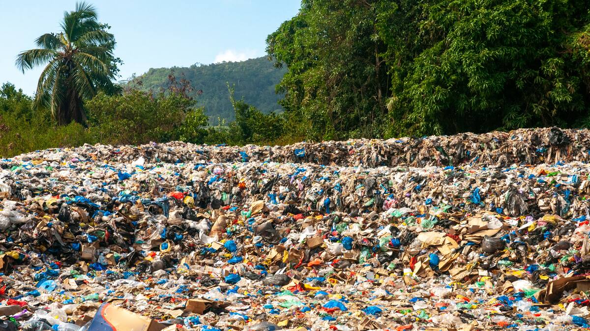 Video: emergencia ambiental en Chocó por montañas de basuras que dejaron turistas en Capurganá