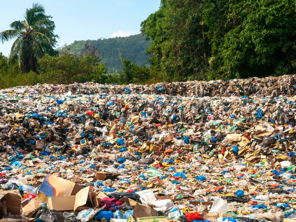 Video: emergencia ambiental en Chocó por montañas de basuras que dejaron turistas en Capurganá