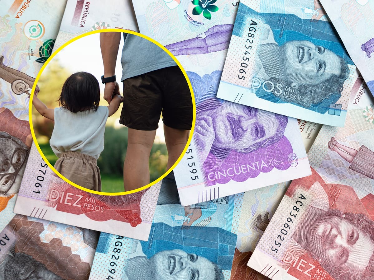 Demandas por alimentos en Colombia: cómo consultar con su cédula si tiene una