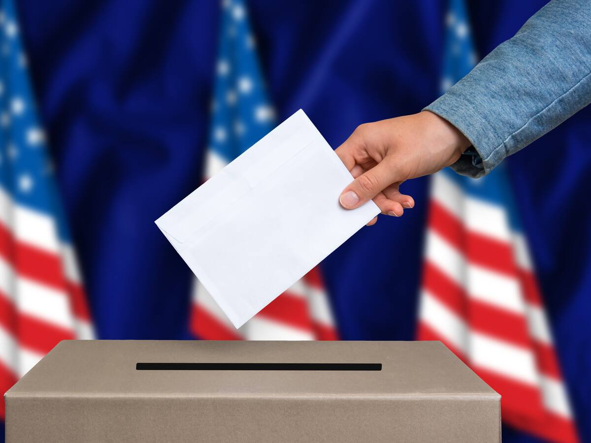 OEA desplegó observadores electorales en 13 estados de EE.UU. para las presidenciales