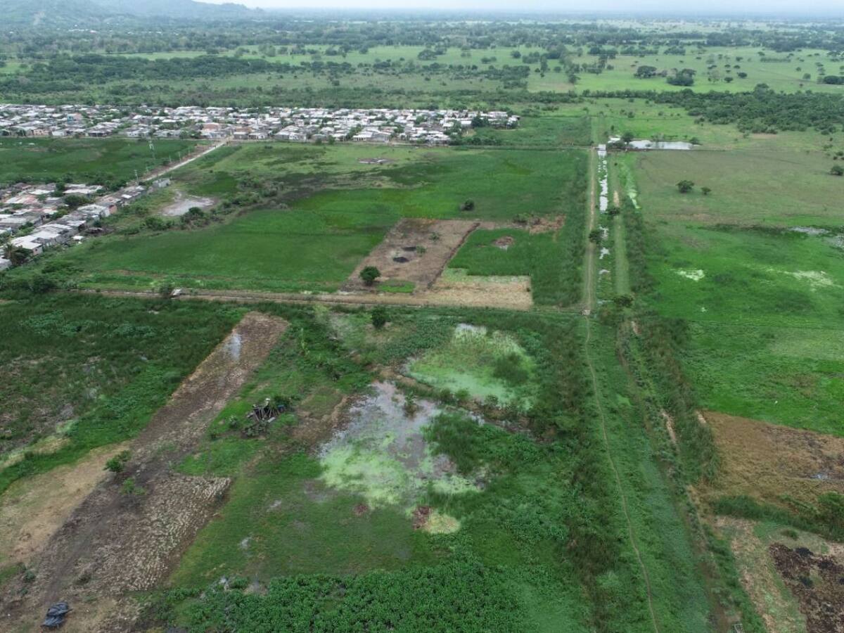 Más de 700 personas volvieron a invadir el humedal Berlín en Montería