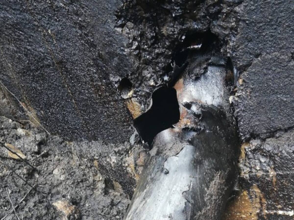 Ecopetrol confirma atentado en zona rural de Toledo, Norte de Santander
