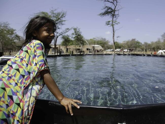 Comunidades indígenas de la Guajira beneficiadas con Agua y Seguridad alimentaria por el Ministerio de Agricultura y Desarrollo Rural.. Foto: Colprensa