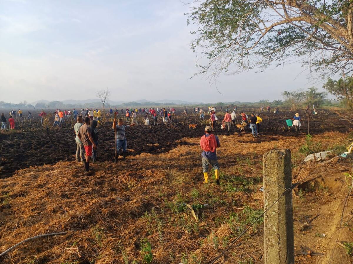 Autoridades investigan incendio forestal que dejó más de 70 animales muertos en Montería