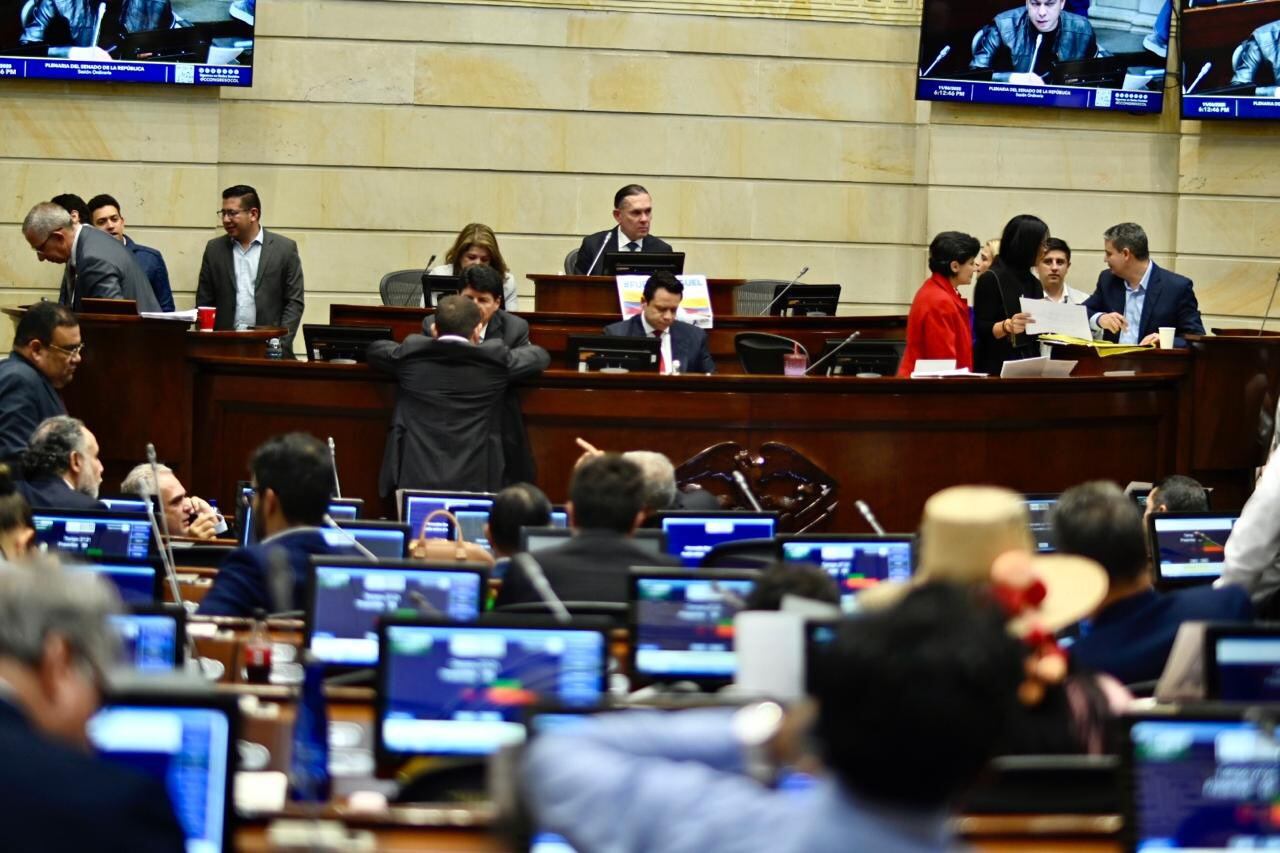 Plenaria del Senado. Foto: Suministrada