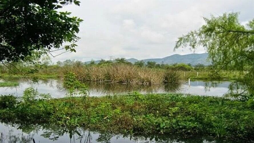 Piden a un juez que ordene detener las obras en el humedal Tibabuyes. Foto: Cortesía: Alcaldía de Bogotá