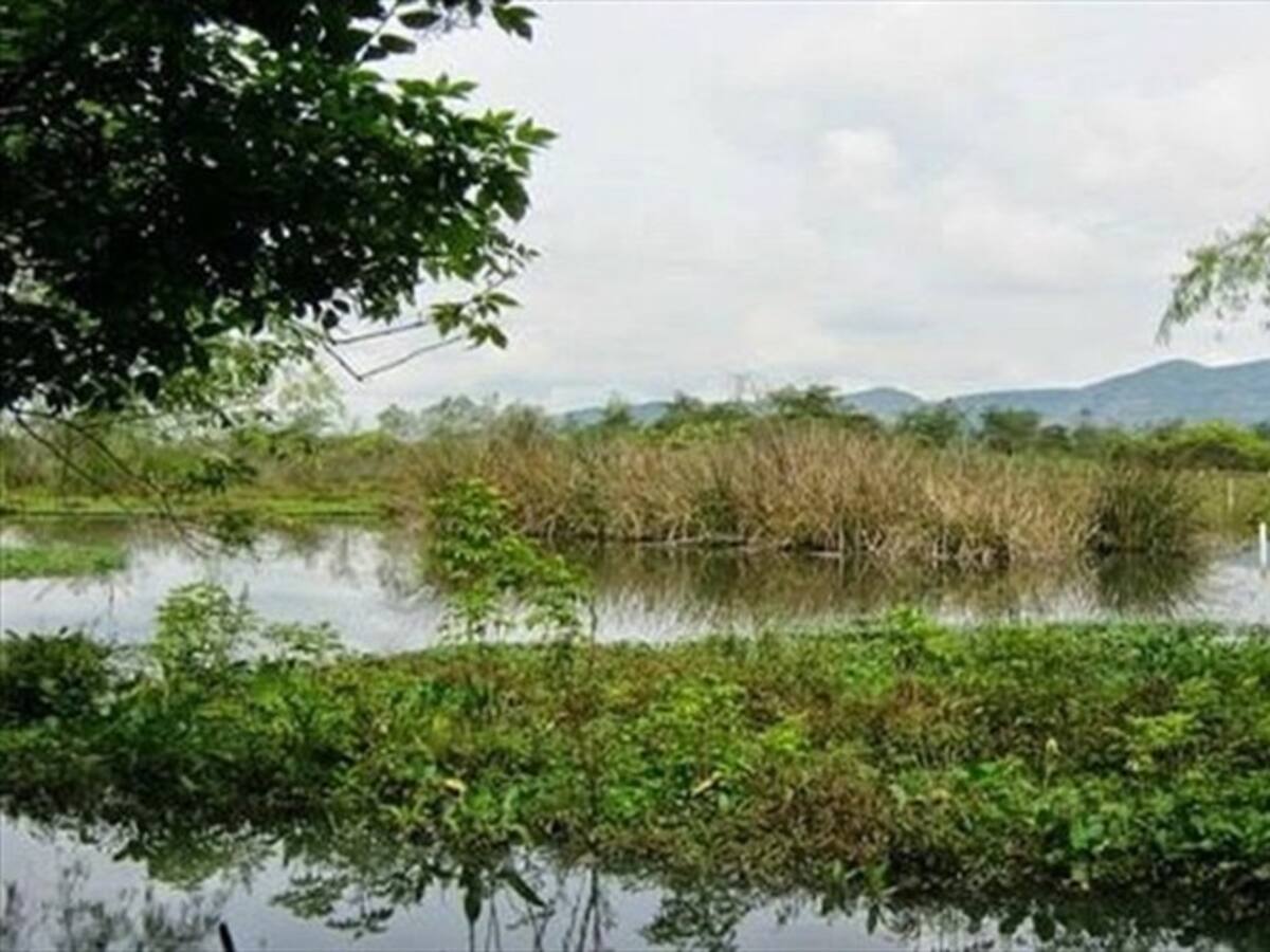 Piden a un juez que ordene detener las obras en el humedal Tibabuyes
