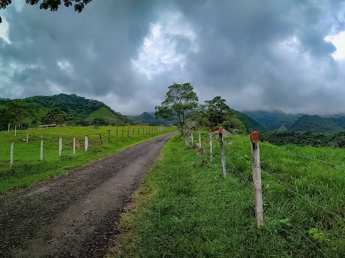 Alcalde de Villavicencio ayuda a falsas víctimas de Farc a reclamar tierras: abogado