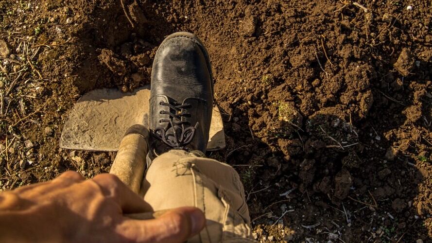 Nueva planta de Tesla. Foto: Getty Images