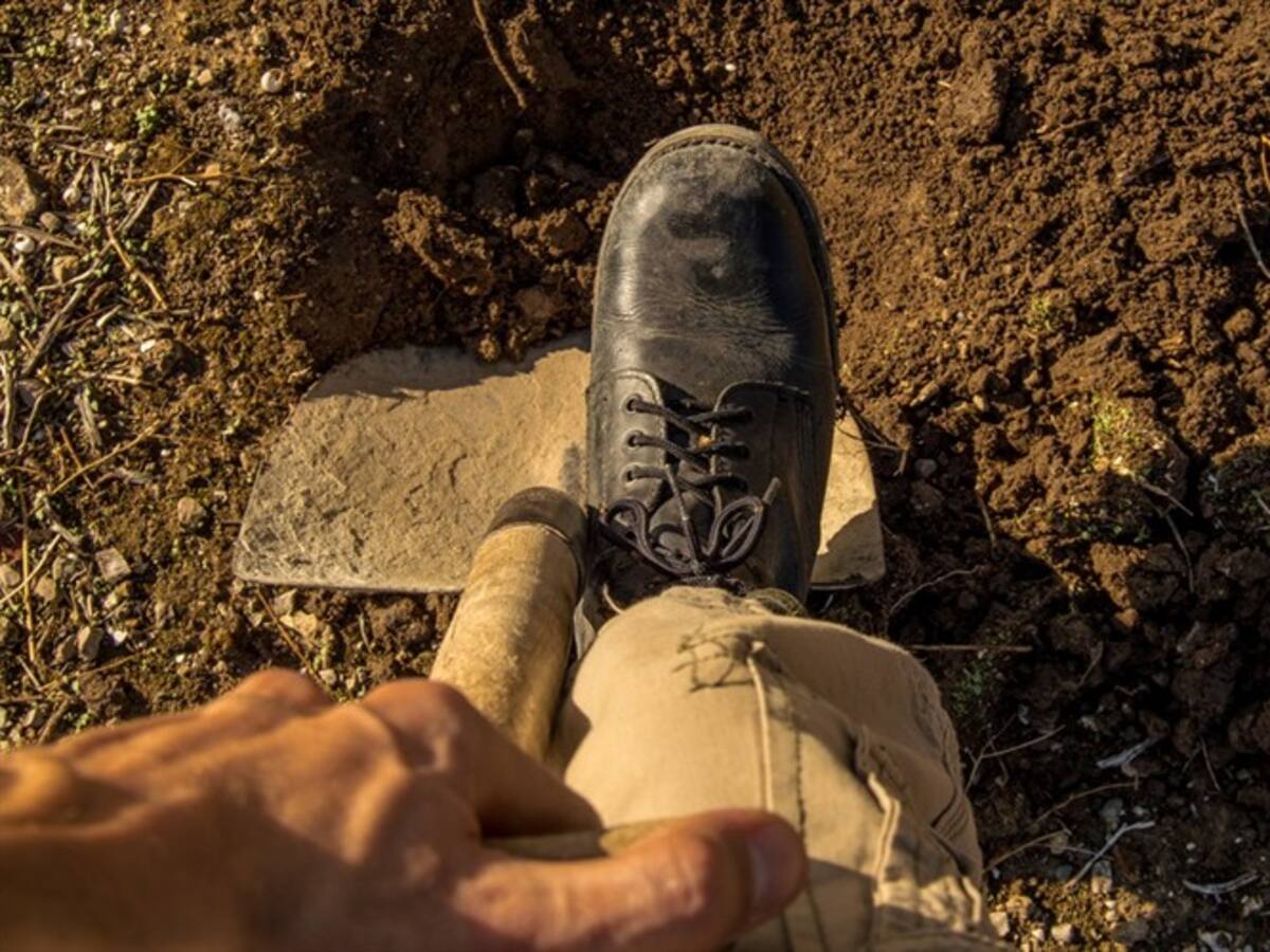 En planta alemana de Tesla desactivan siete bombas de Segunda Guerra Mundial