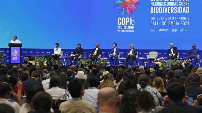 AME2592. CALI (COLOMBIA), 29/10/2024.- El presidente de Colombia, Gustavo Petro (i), pronuncia su discurso en el segmento de alto nivel de la Conferencia de la ONU sobre Biodiversidad Biológica (COP16) este martes, en Cali (Colombia). Petro criticó este martes la "falta de acción" mundial para enfrentar "el principal problema de la humanidad", la "extinción", al inaugurar el segmento de alto nivel. Defendió que esta es una cumbre celebrada "con el pueblo en las calles, con el pueblo rodeándonos en nuestras reflexiones", frente a las COP que se hacen "en medio del desierto, en medio de la nieve, en medio del mar, sin gente y sin pueblos (...) donde se reúnen para tomar decisiones en nombre de los demás". EFE/ Ernesto Guzmán Jr.