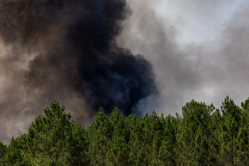 Forest fire in Landiras, France, on July 16, 2022. -Hundreds people were evacuated from their homes as wildfires continued to rage out of control in southwestern France, authorities said on Friday.  (Photo by Jerome Gilles/NurPhoto via Getty Images)