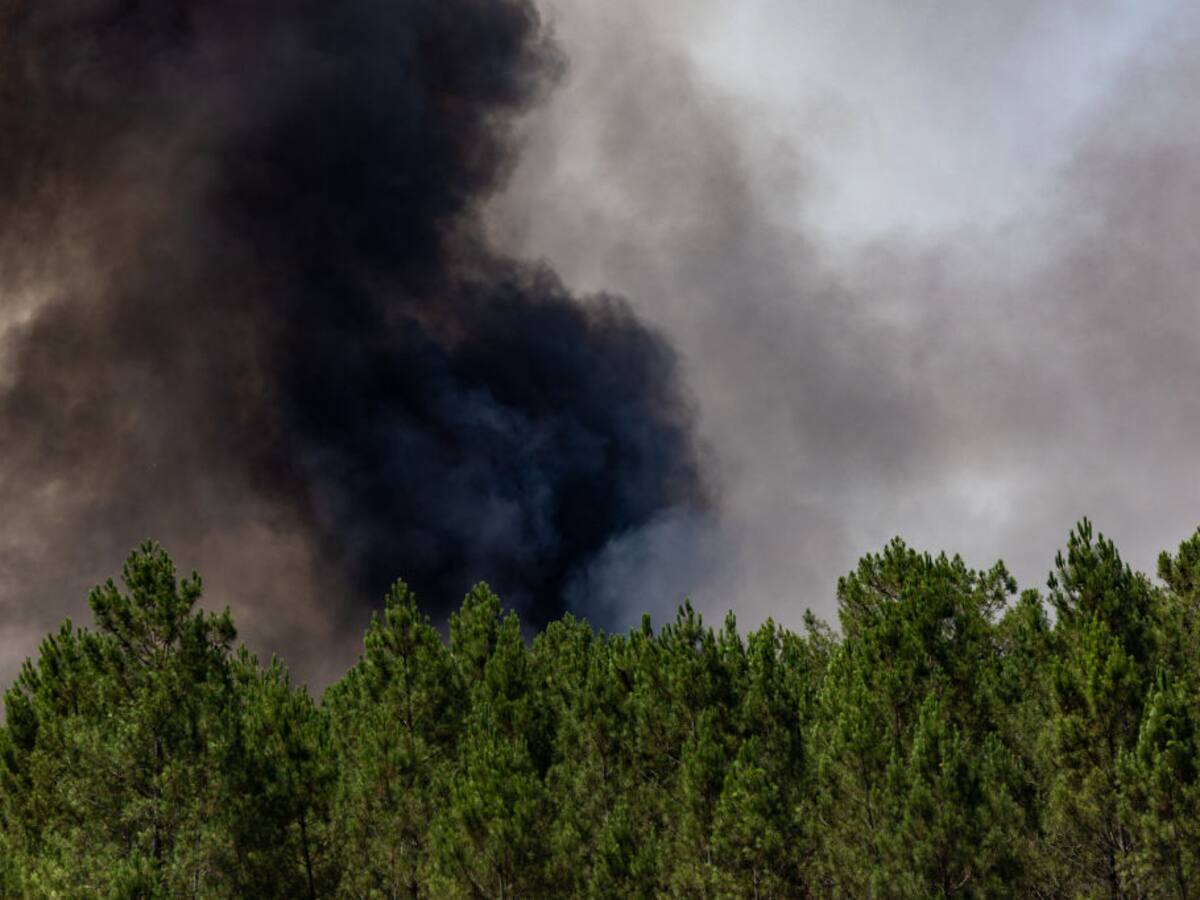 Se reportan más de 10.000 hectáreas calcinadas luego de los incendios en Francia