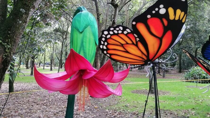 Los cuatro ecosistemas que encontrará en el Festival Brilla Colombia. Foto: W Radio