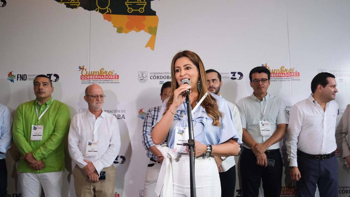 “Hemos solicitado suspensión del cese al fuego en todo el país”: gobernadora del Tolima
