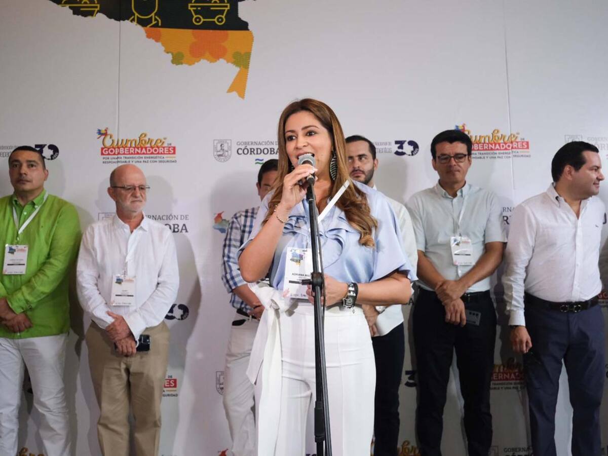 “Hemos solicitado suspensión del cese al fuego en todo el país”: gobernadora del Tolima