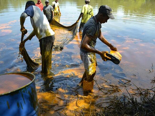Anla tendrá que decir cuál fue la afectación del puerto: alcalde de Ciénaga