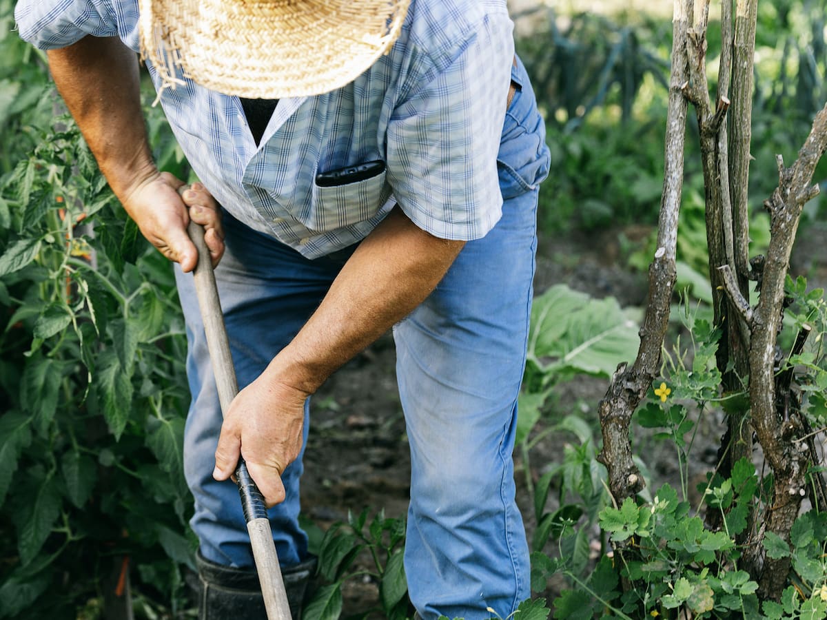 MinAgricultura busca cooperación con Suecia para financiar tres proyectos rurales