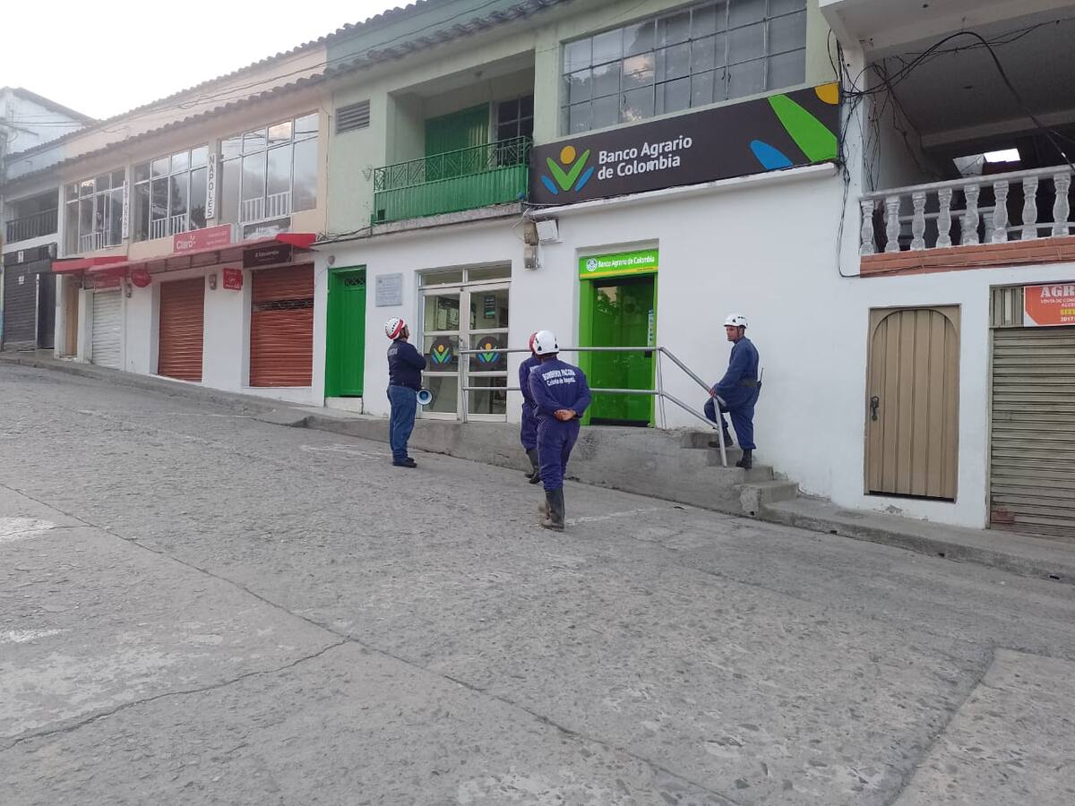 Panal de abejas africanas afecta tranquilidad en Pácora, Caldas