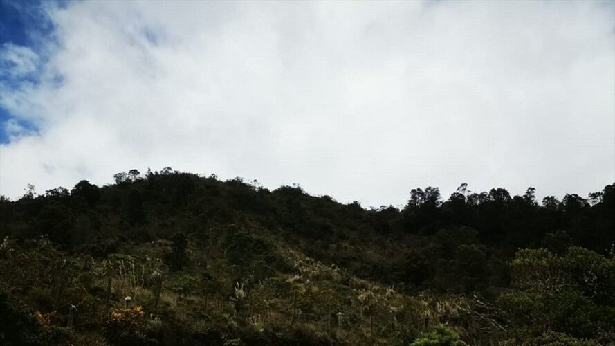 Los hechos tiene preocupados a los habitantes de esta vereda. Foto: cortesía prensa concejal Andrea Padilla.