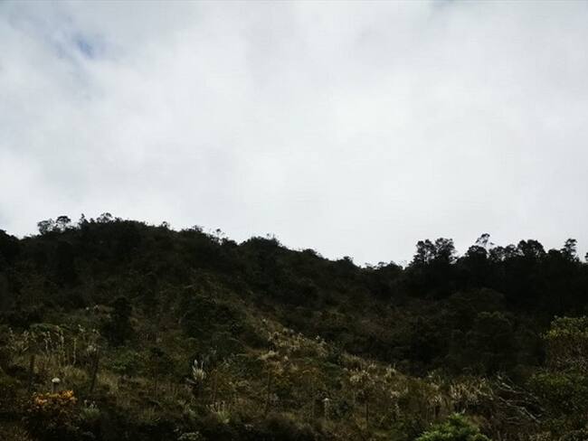 Los hechos tiene preocupados a los habitantes de esta vereda. Foto: cortesía prensa concejal Andrea Padilla.