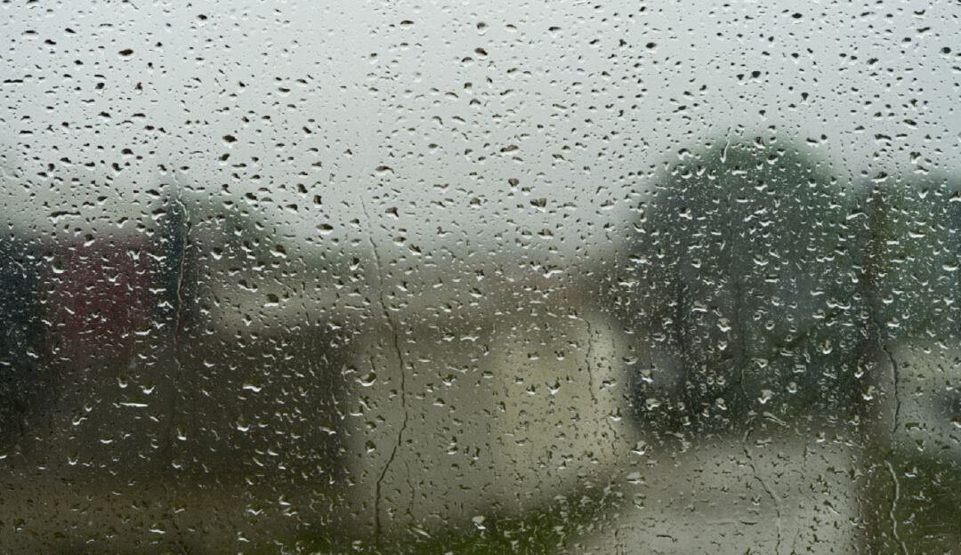 Emergencia climática. Foto: