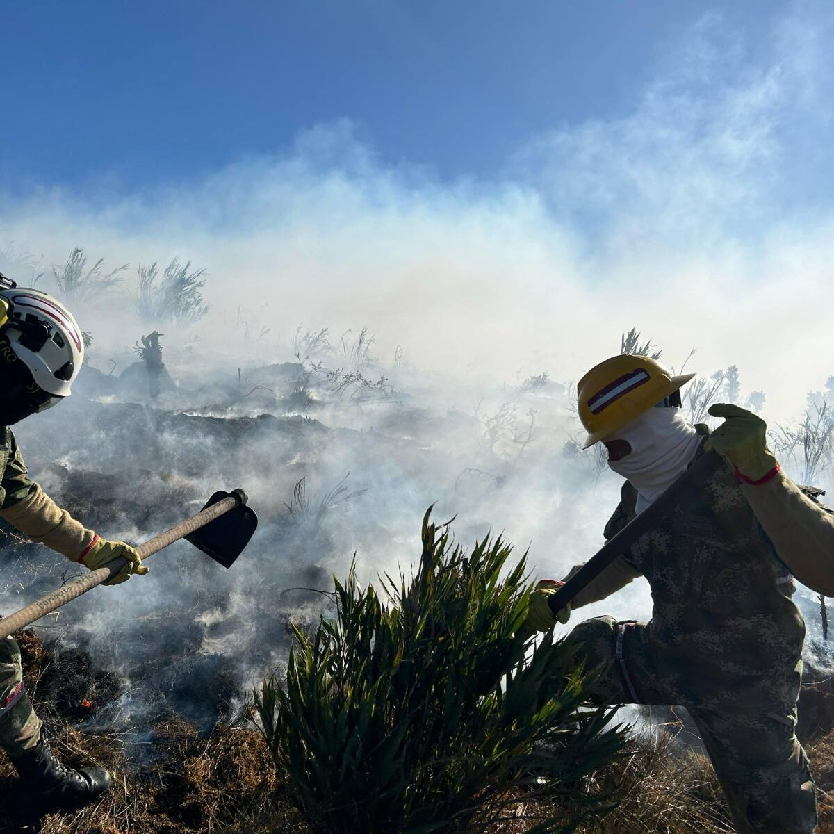 Bomberos, Ponalsar y Ejército intentan controlar voraz incendio en páramo de Berlín, Tona