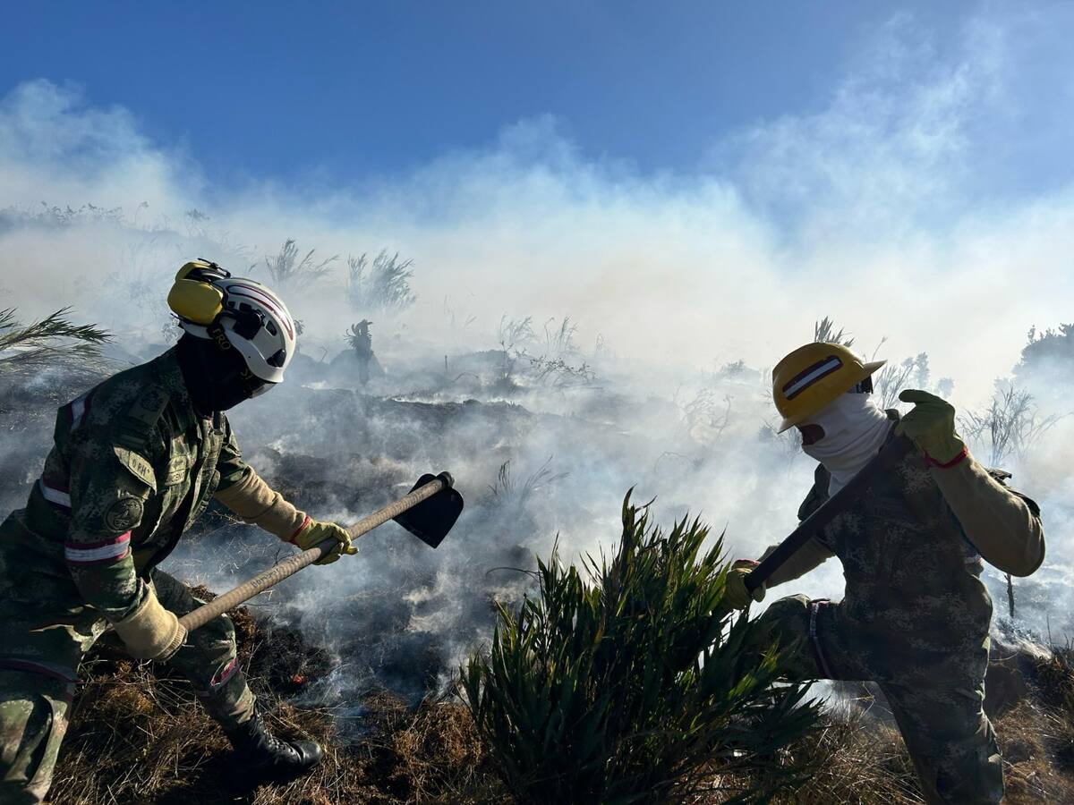 Bomberos, Ponalsar y Ejército intentan controlar voraz incendio en páramo de Berlín, Tona
