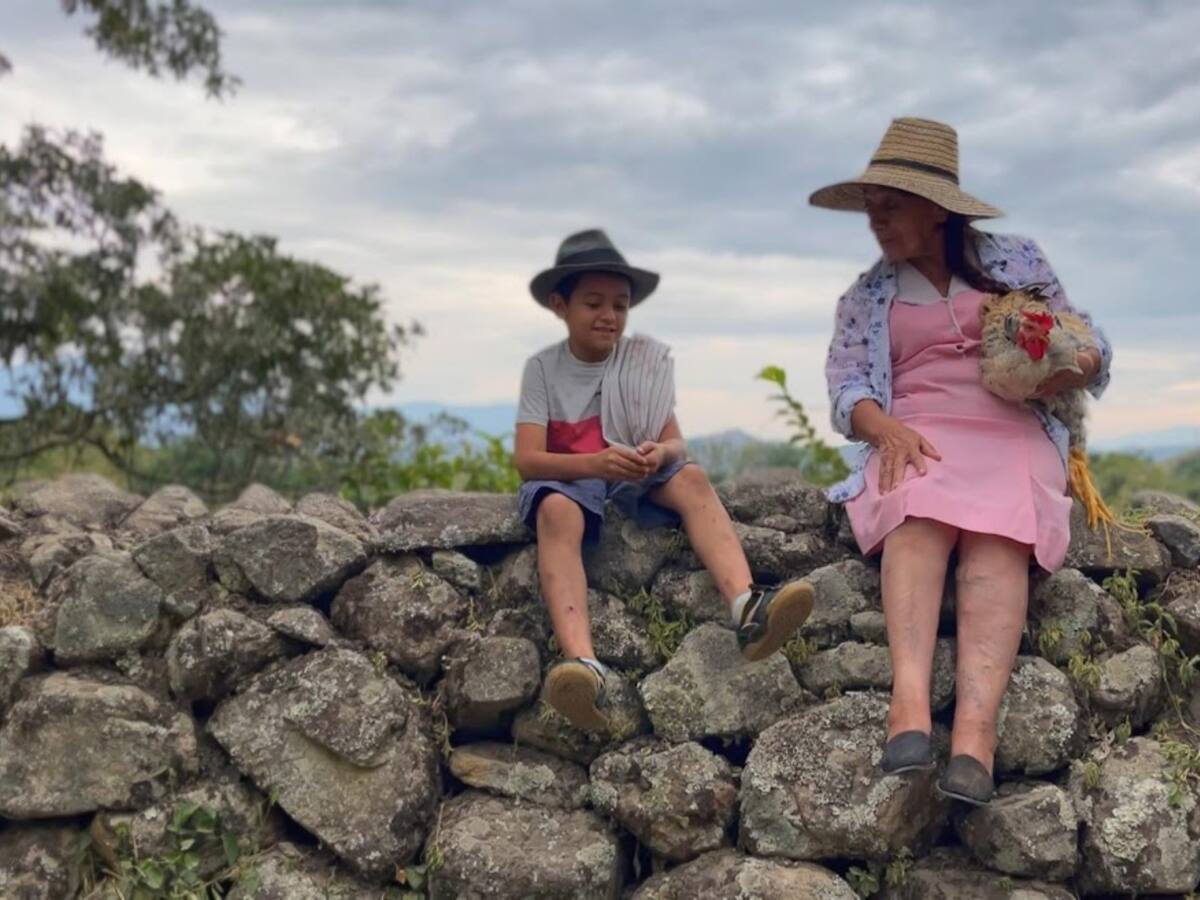 La Guerra de las Gallinas: serie que narra la otra cara del conflicto armado en Colombia