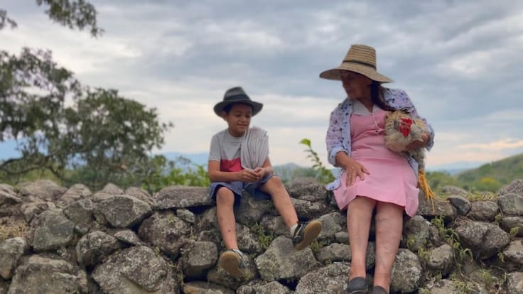 La Guerra de las Gallinas: serie que narra la otra cara del conflicto armado en Colombia