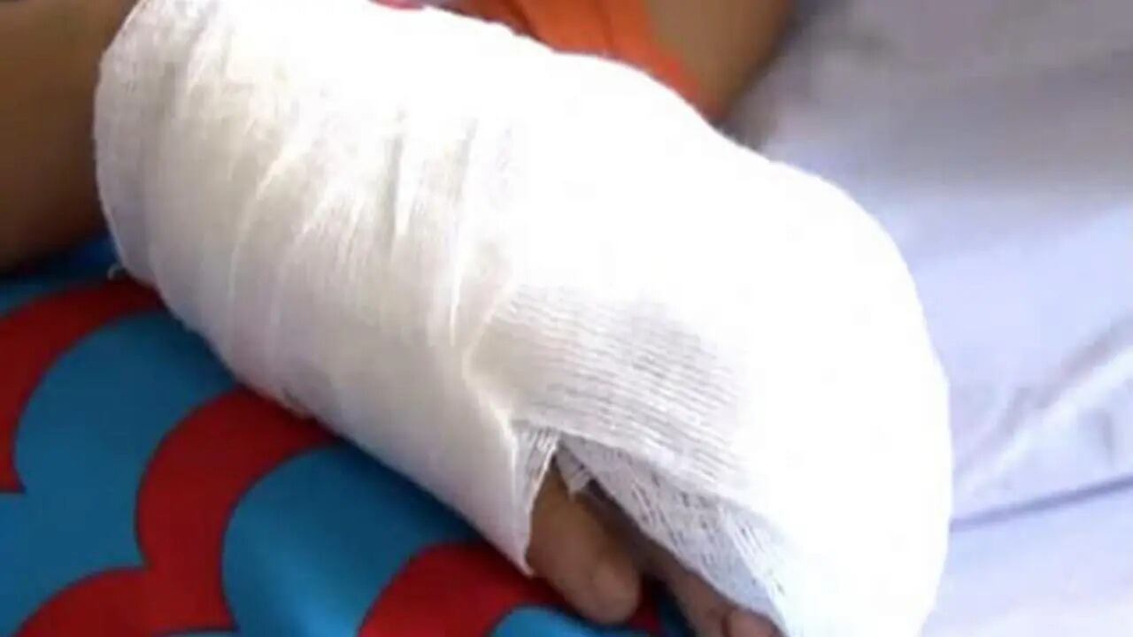 Foto: Tomada de Google