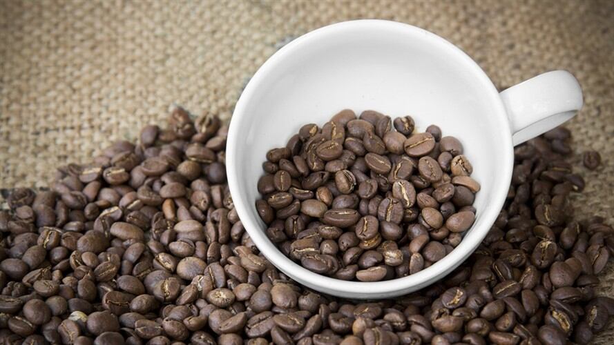 se ha llegado a pagar más de 1.000 dólares por libra. Foto: Getty Images