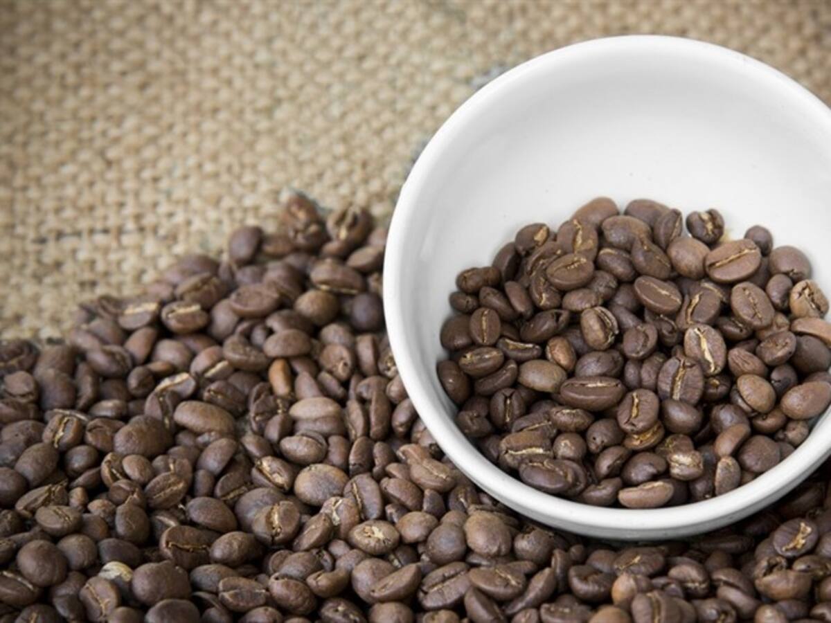 El café más caro del mundo