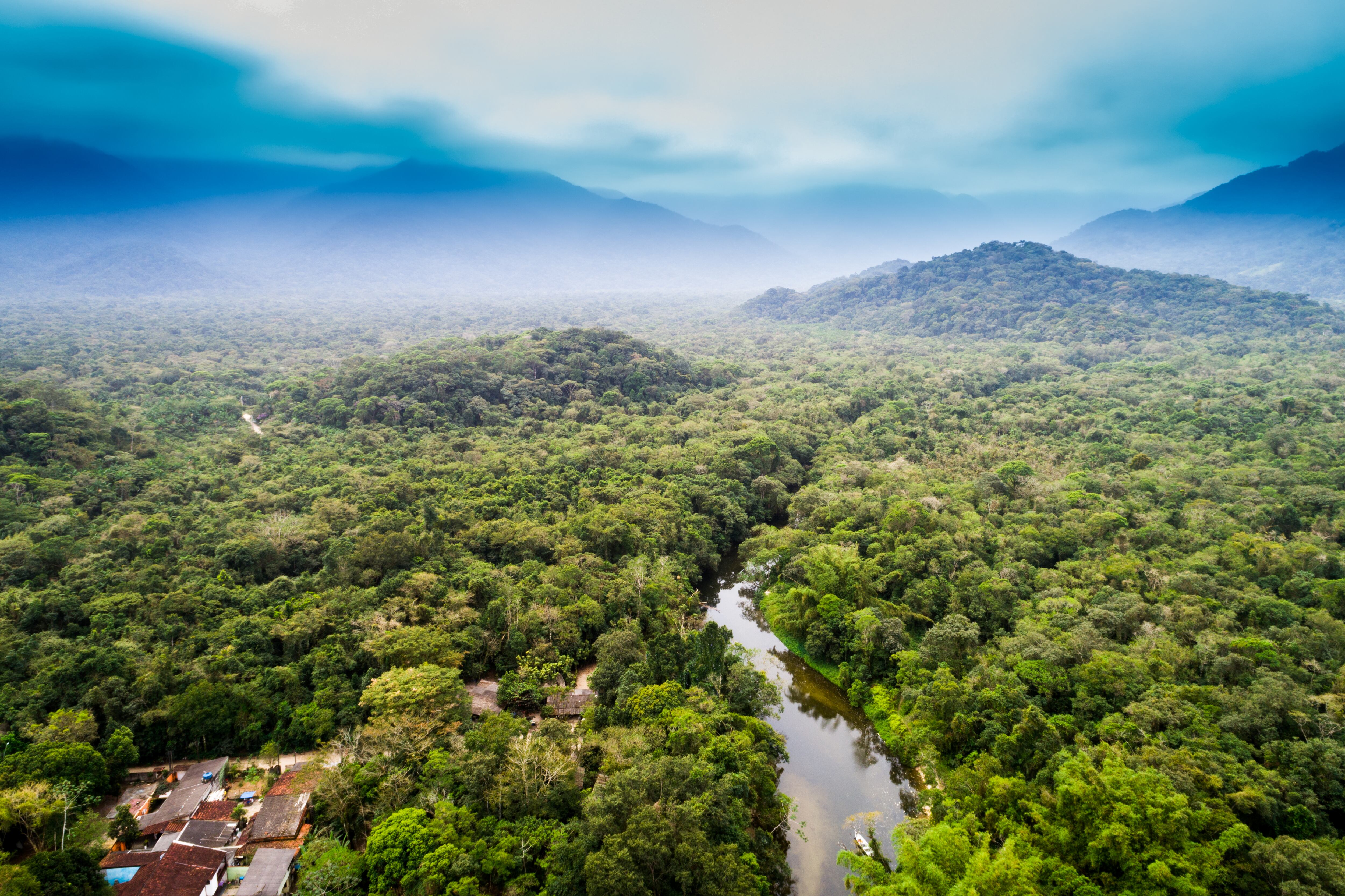Vista aérea de la selva amazónica, América del Sur. Foto: Getty Images.