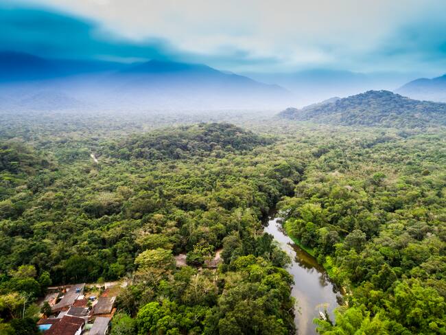 Vista aérea de la selva amazónica, América del Sur. Foto: Getty Images.