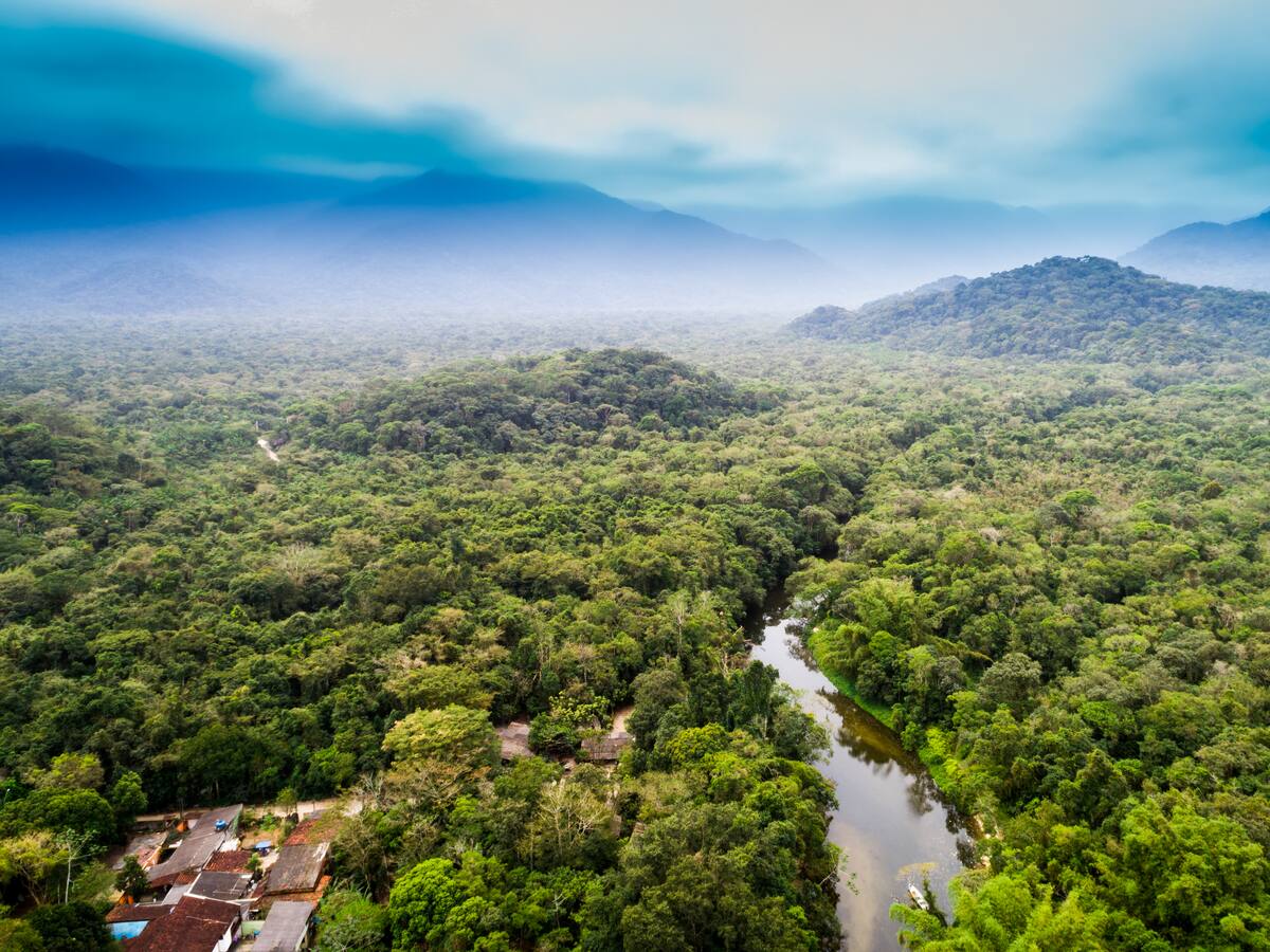 ¿Es viable una OTAN para proteger la Amazonía?