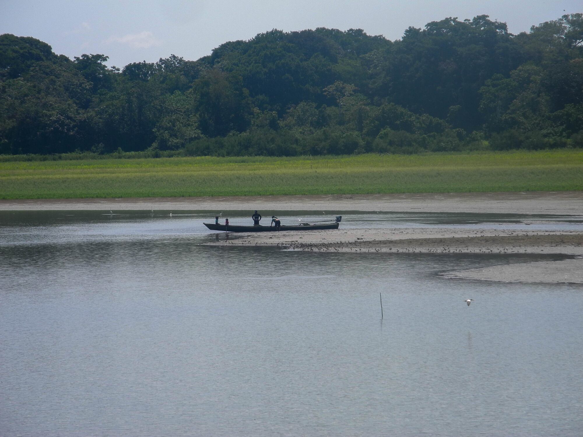 Imagen de referencia de botes de pesca. Foto: Getty Images.