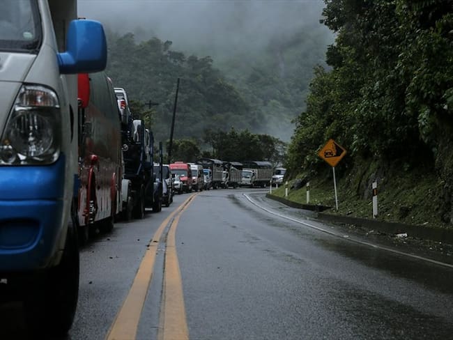 El 20% de los camioneros son los que están apoyando el paro: Jairo Herrera, presidente de Asecarga. Foto: Colprensa