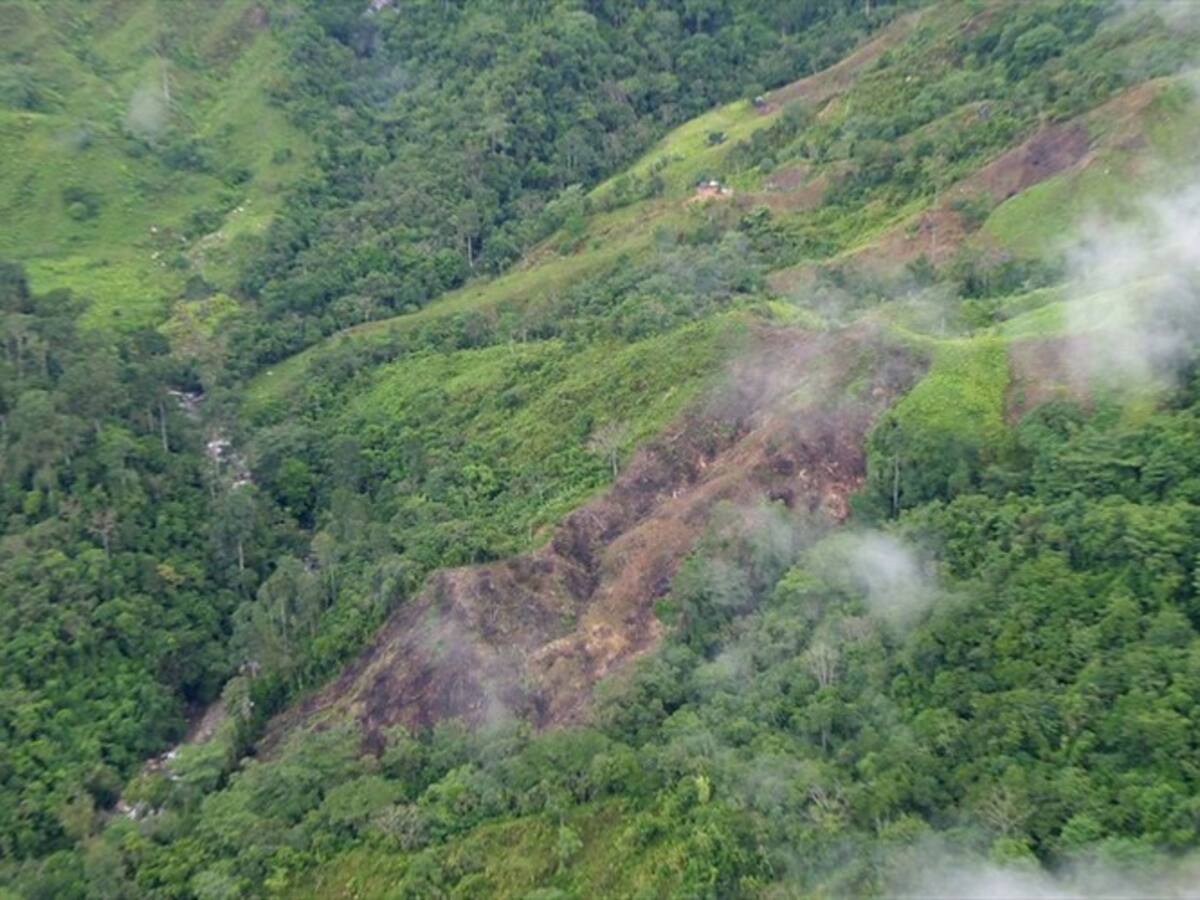 Torturan a una pareja en la Sierra Nevada de Santa Marta