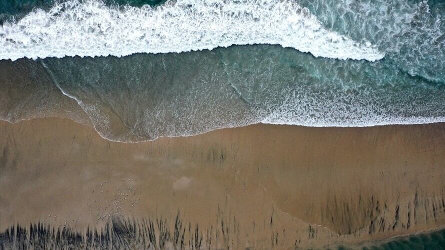 Vista aérea del derrame de petróleo en California. Foto: Getty Images/Mario Tama