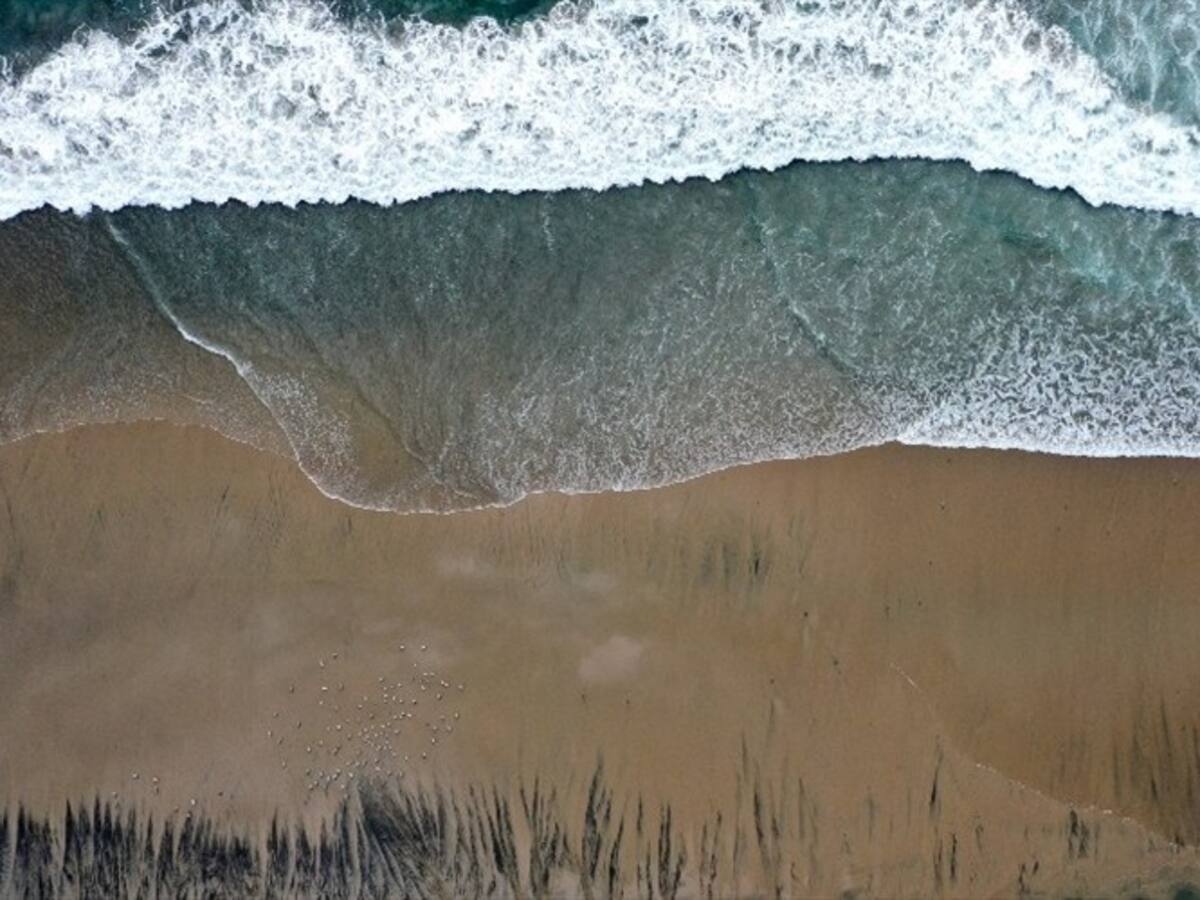 Derrame de petróleo en las playas de California provoca emergencia ambiental
