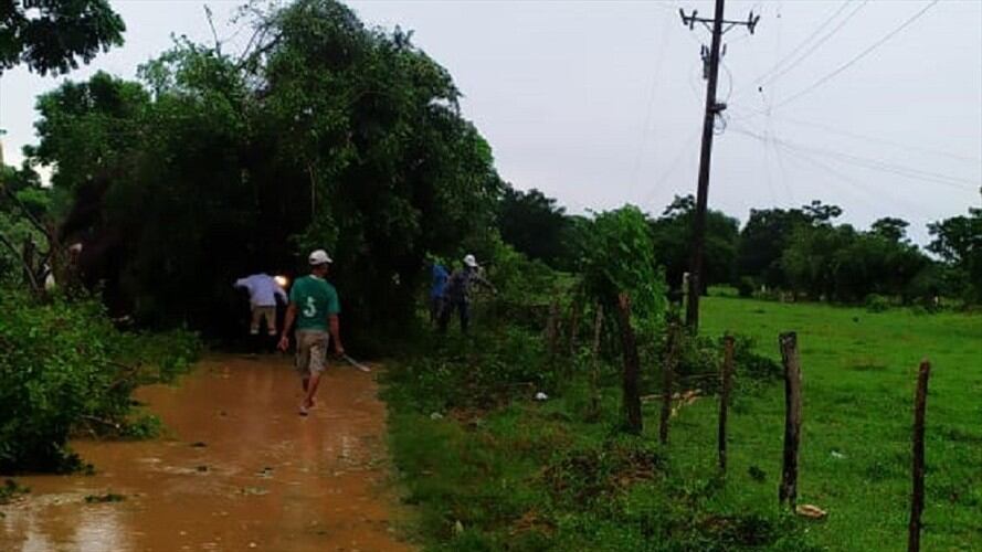 Con inundaciones, árboles y postes de energía colapsados amaneció la ciudad de Montería este 20 de julio. Foto: Cortesía